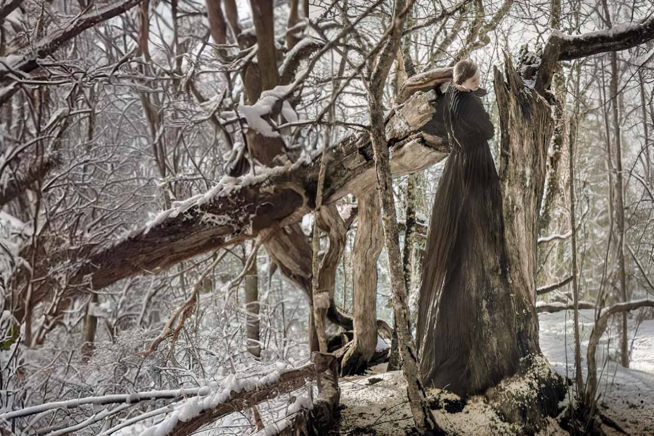 Entanglement: I am a tree, I am a mouth - tapahtuman kuva