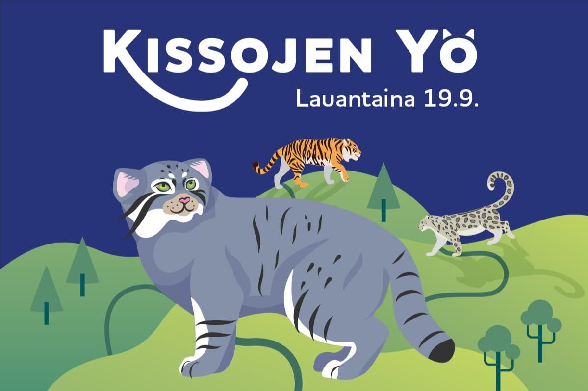 Kissojen Yö - tapahtuman kuva
