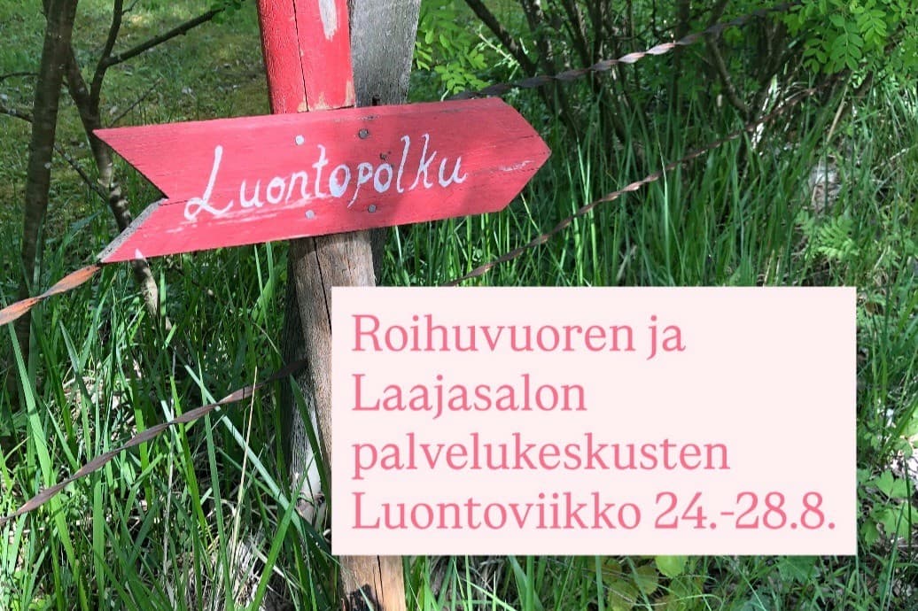 Roskakävely - tapahtuman kuva