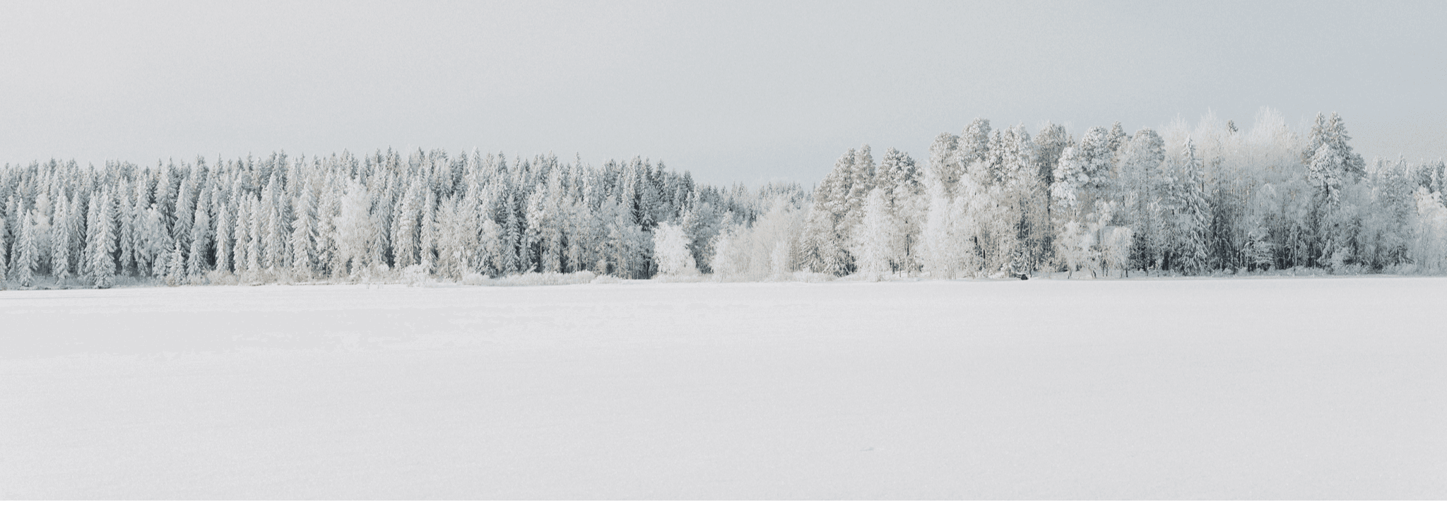 Avoin jouluruokailu Elsa Resortissa - tapahtuman kuva