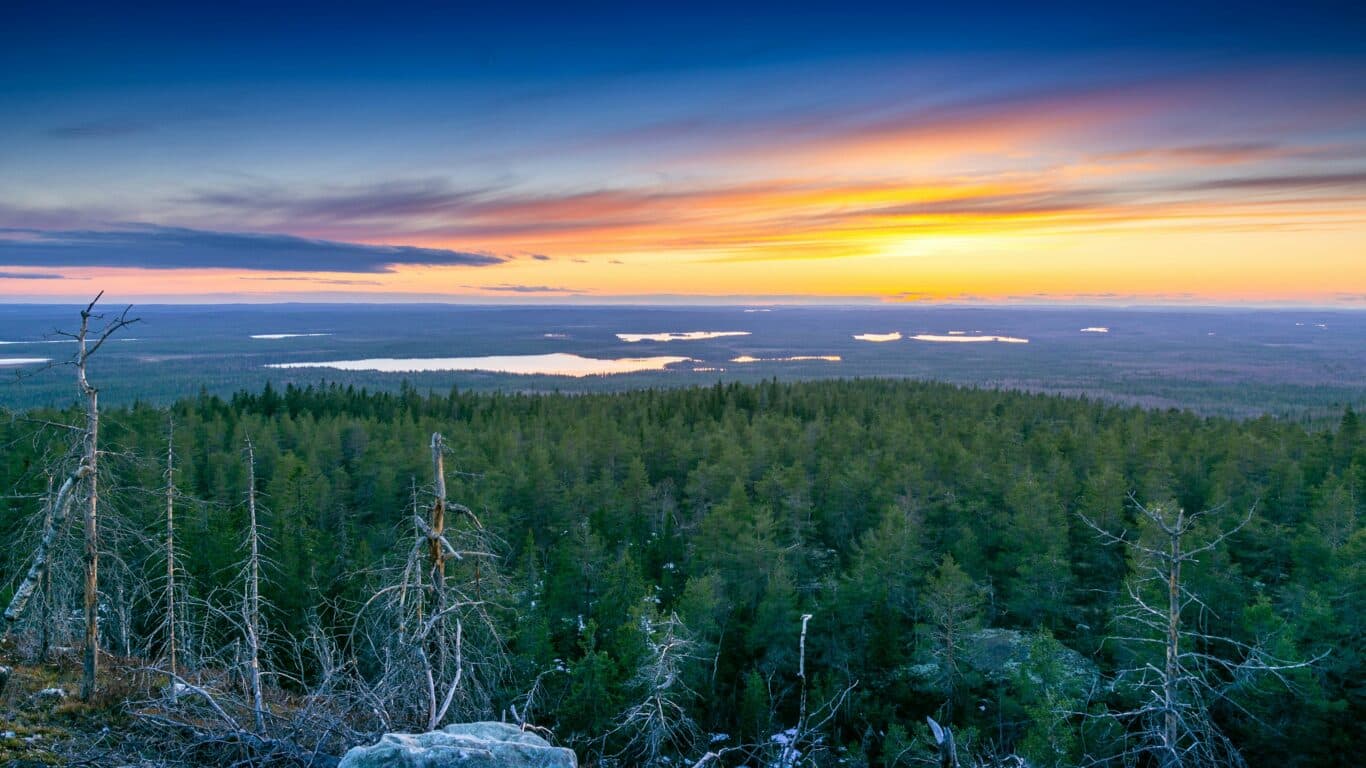 Karjalaiset juhlat Lehmirannan ravintolassa - tapahtuman kuva