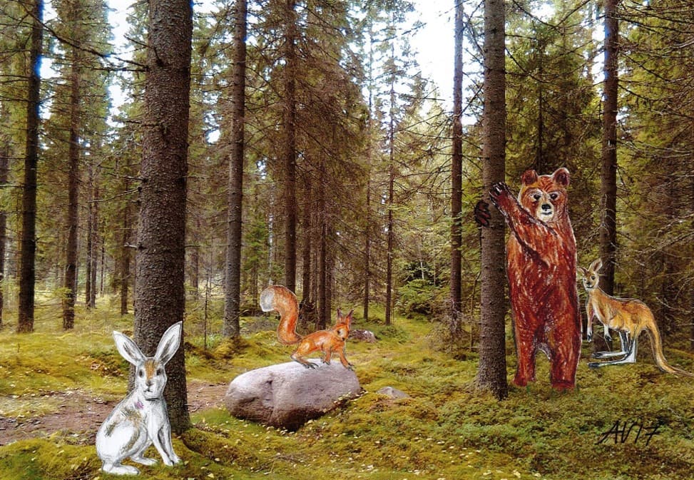Avoin satuhetki - tapahtuman kuva
