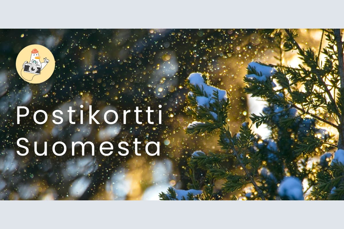 Näyttely: Postikortti Suomesta - tapahtuman kuva