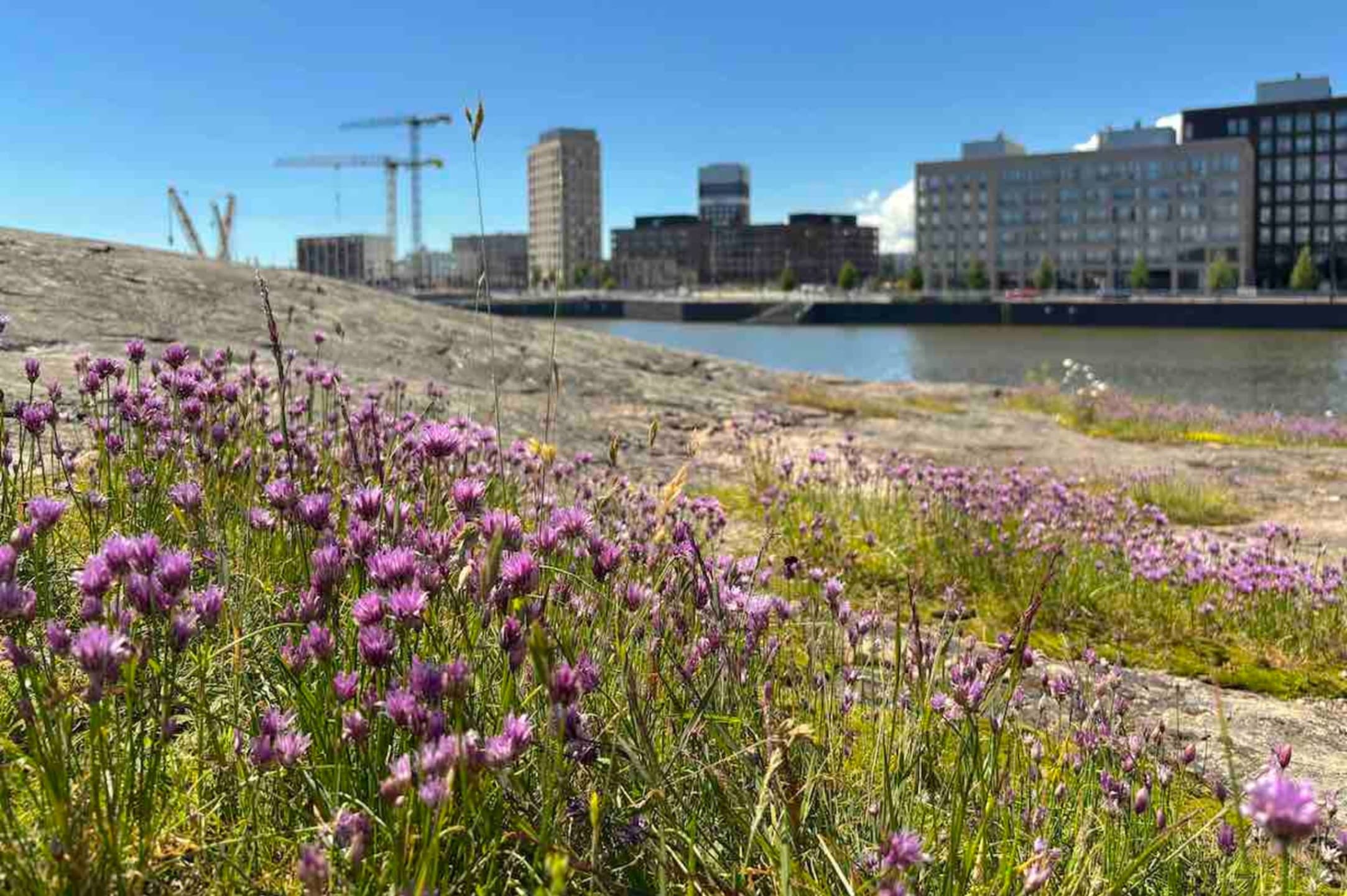 Satamatta jääneet - Hengitys & Nimetön - tapahtuman kuva
