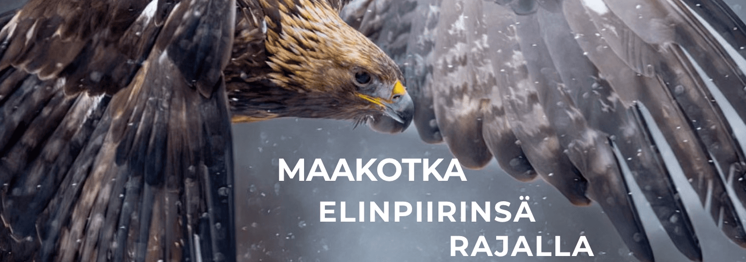 Maakotka elinpiirinsä rajalla -valokuvanäyttely Ähtärin Pirkanlinnassa - tapahtuman kuva