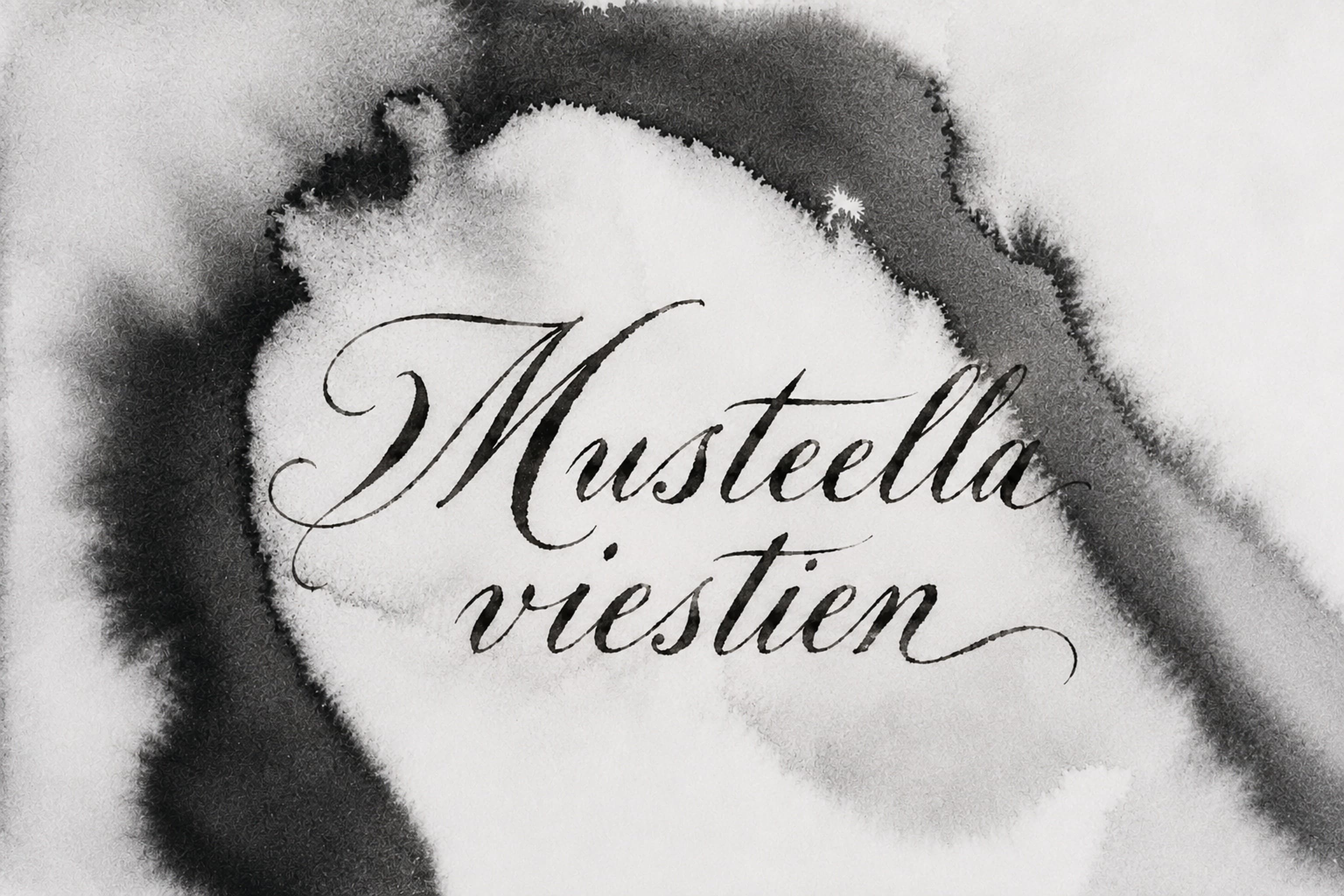 Musteella viestien -kuvallinen työpaja - tapahtuman kuva
