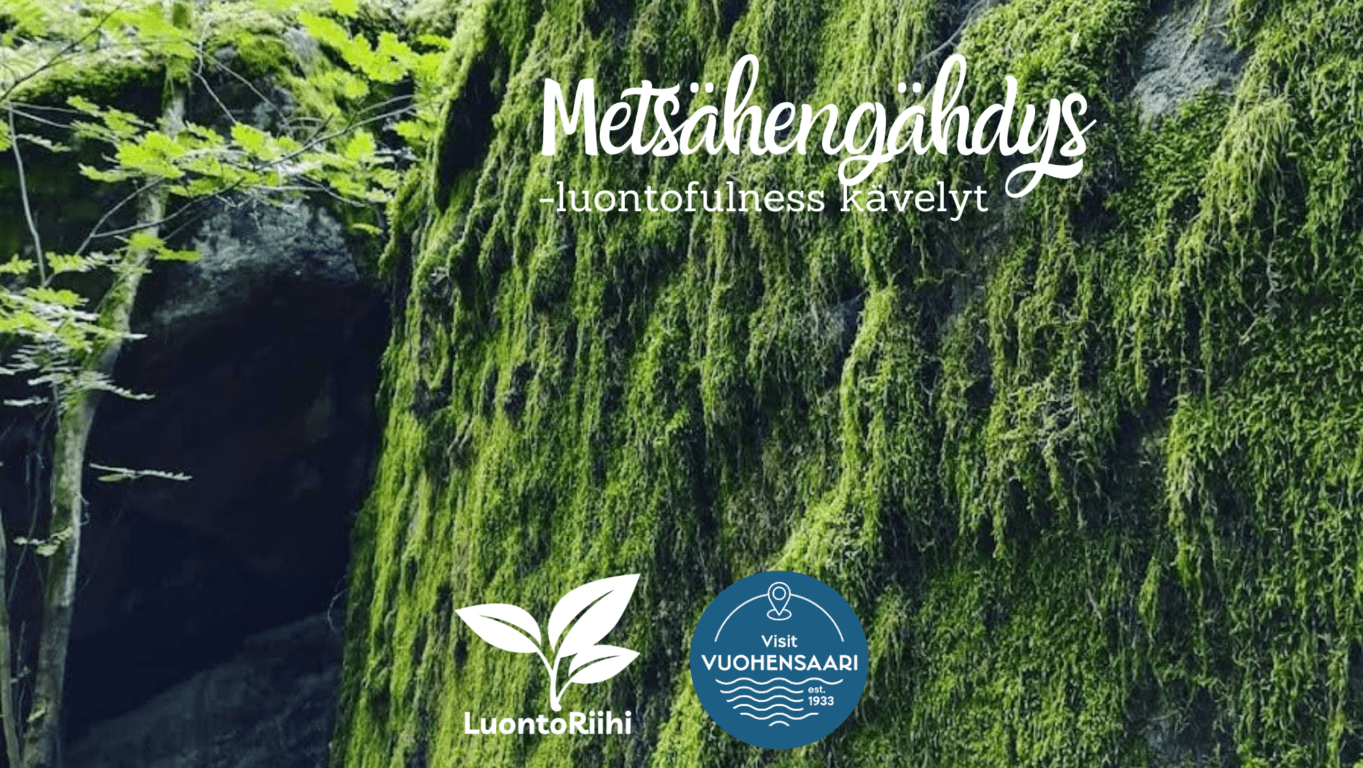 Metsähengähdys -kävelyt Vuohensaaressa - tapahtuman kuva