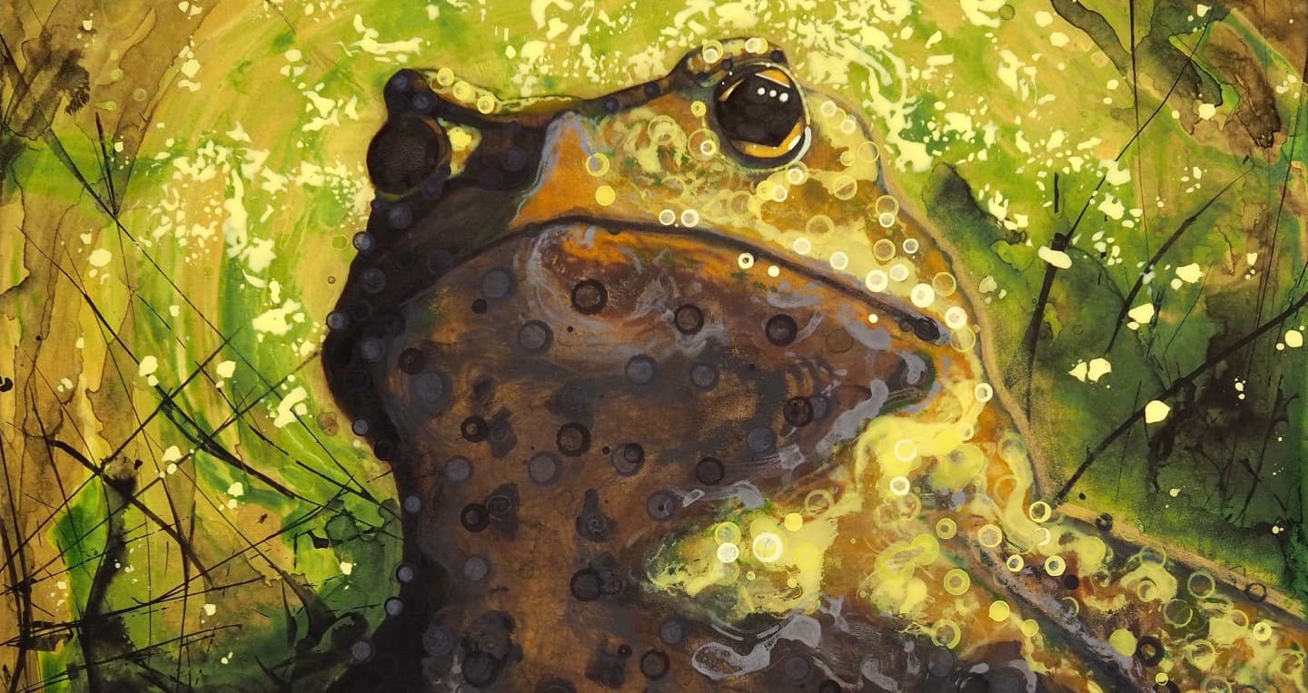 Ville Hiltunen: Ribbit 1000011 (taidenäyttely) - tapahtuman kuva